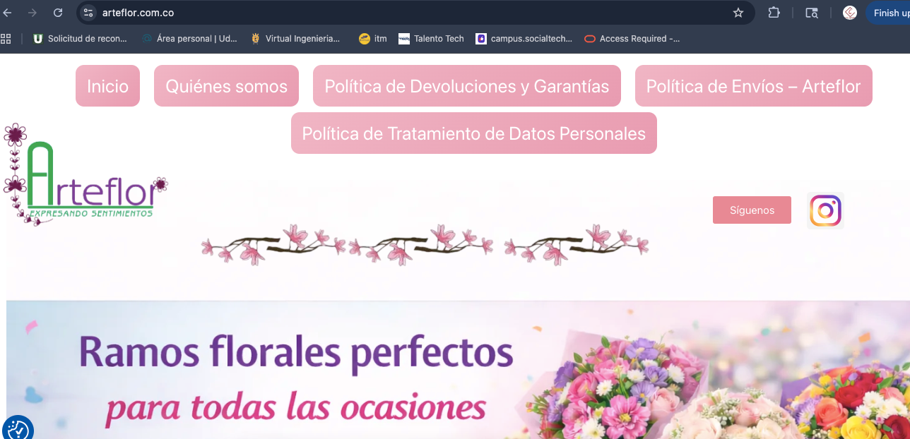 elaboracion de sitios web, empresariales, personales o de venta